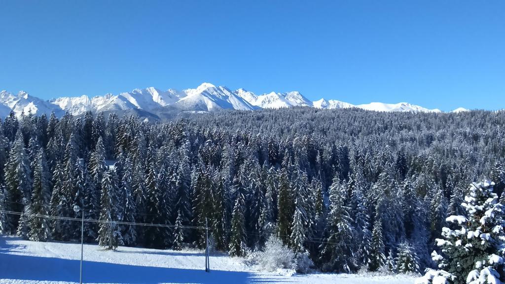 Apartamenty Z Widokiem Na Gory Tatranská Bukovina Exteriér fotografie